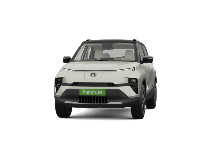 punchev-1